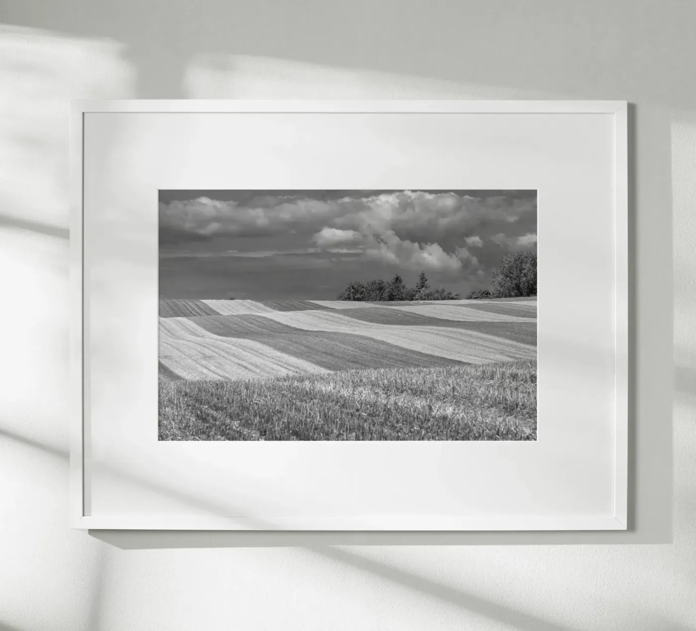 Stubble fields 2 Poster von Barbara Buderath Fotodesign