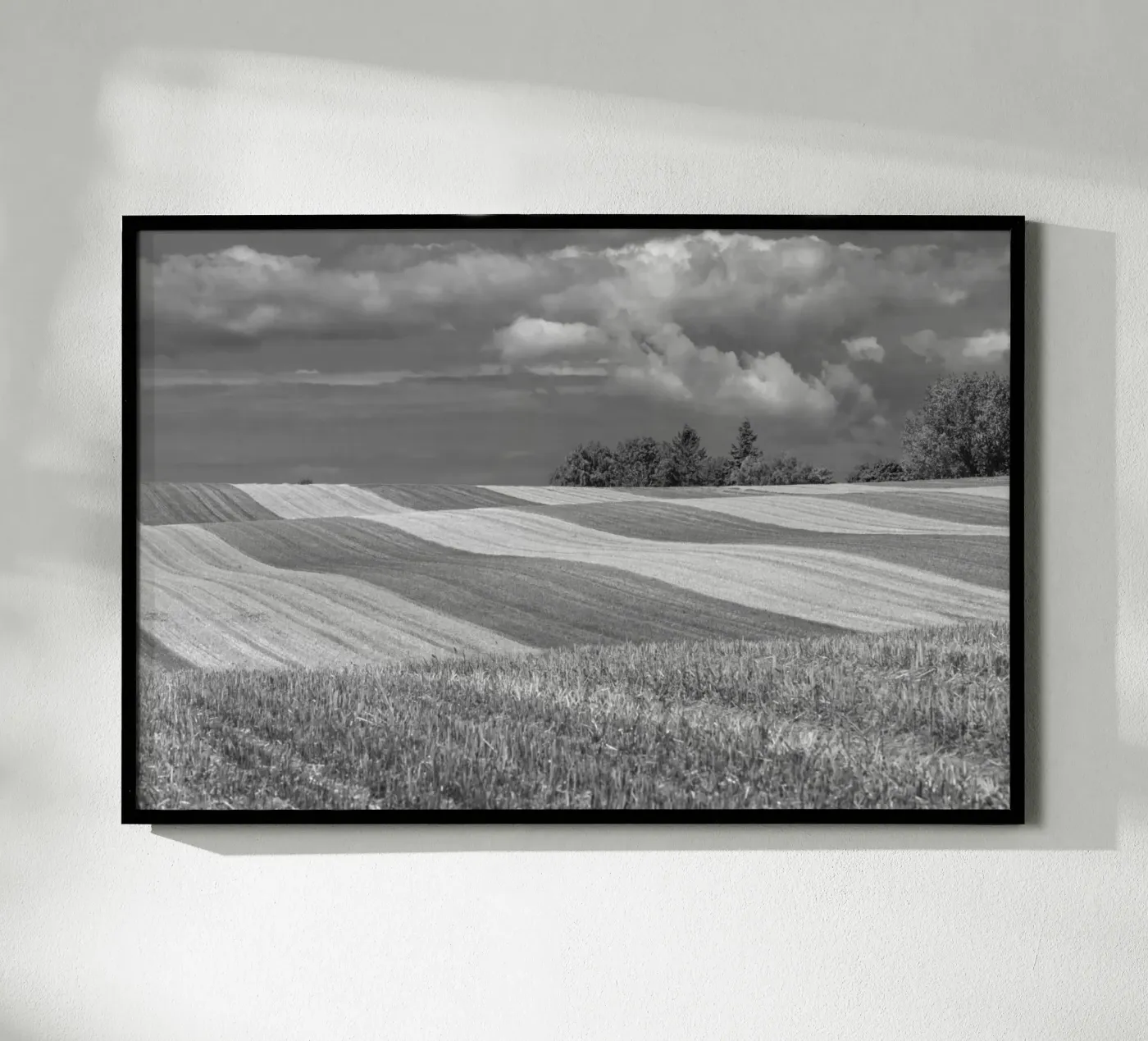 Stubble fields 2 Poster von Barbara Buderath Fotodesign