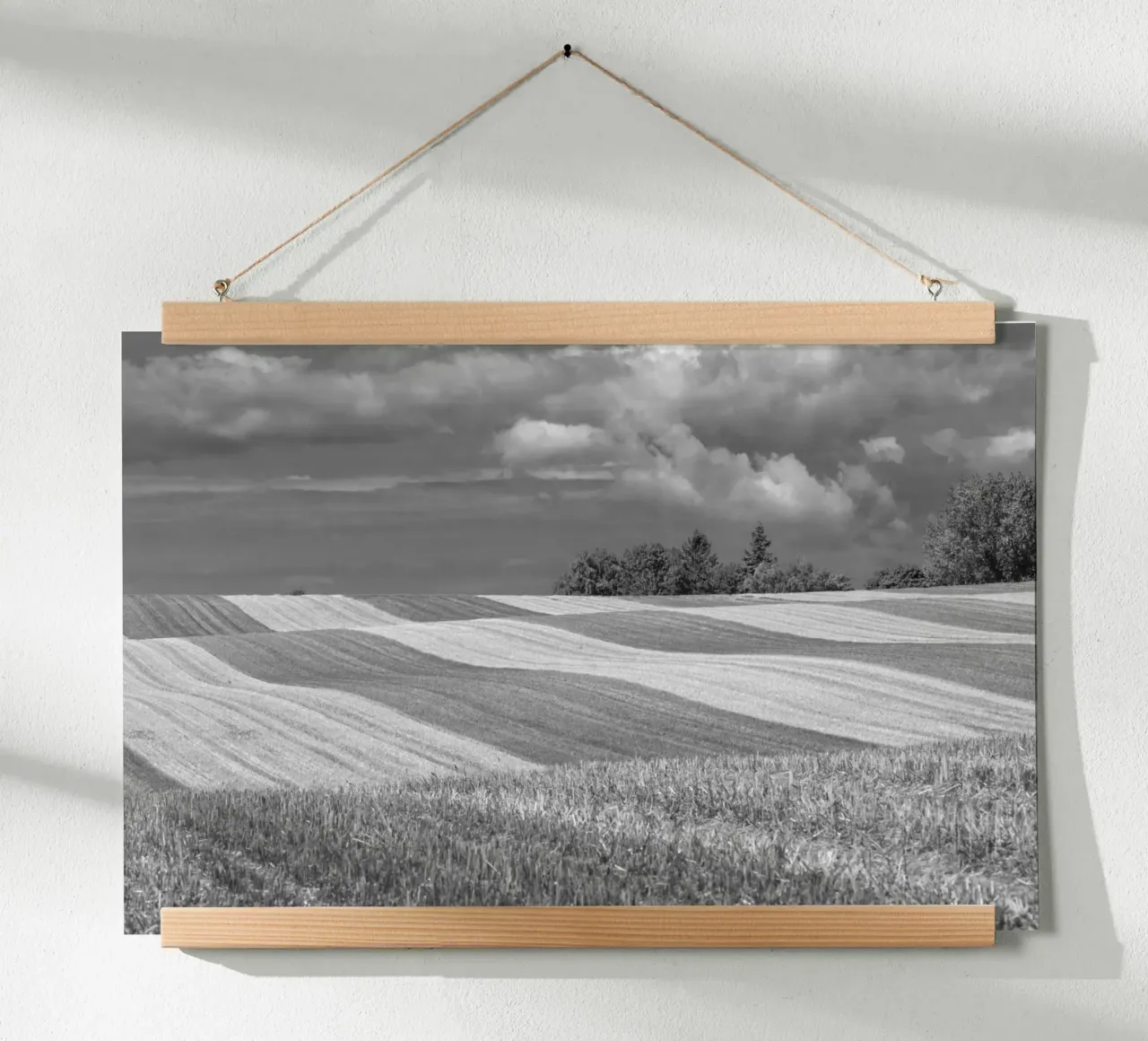 Stubble fields 2 poster by Barbara Buderath Fotodesign