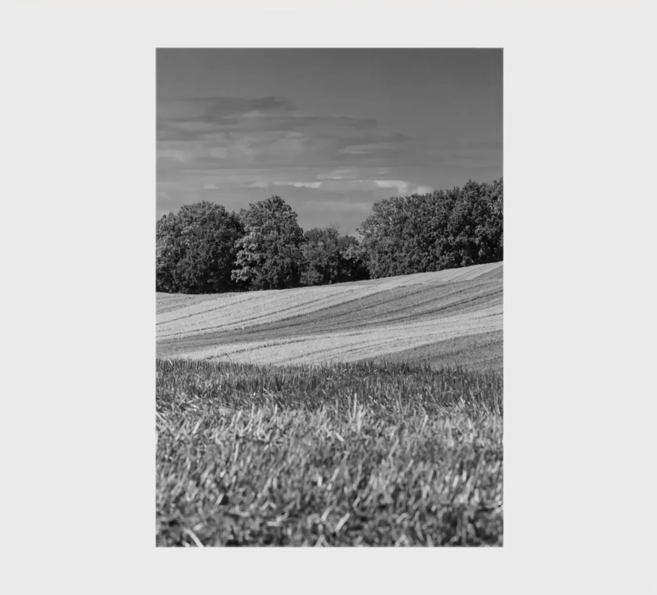 Stubble fields 3 notebook by Barbara Buderath Fotodesign