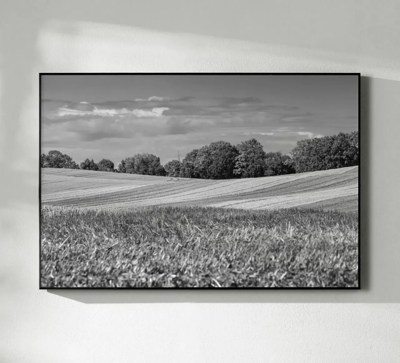 Stubble fields 3 plexiglass da Barbara Buderath Fotodesign