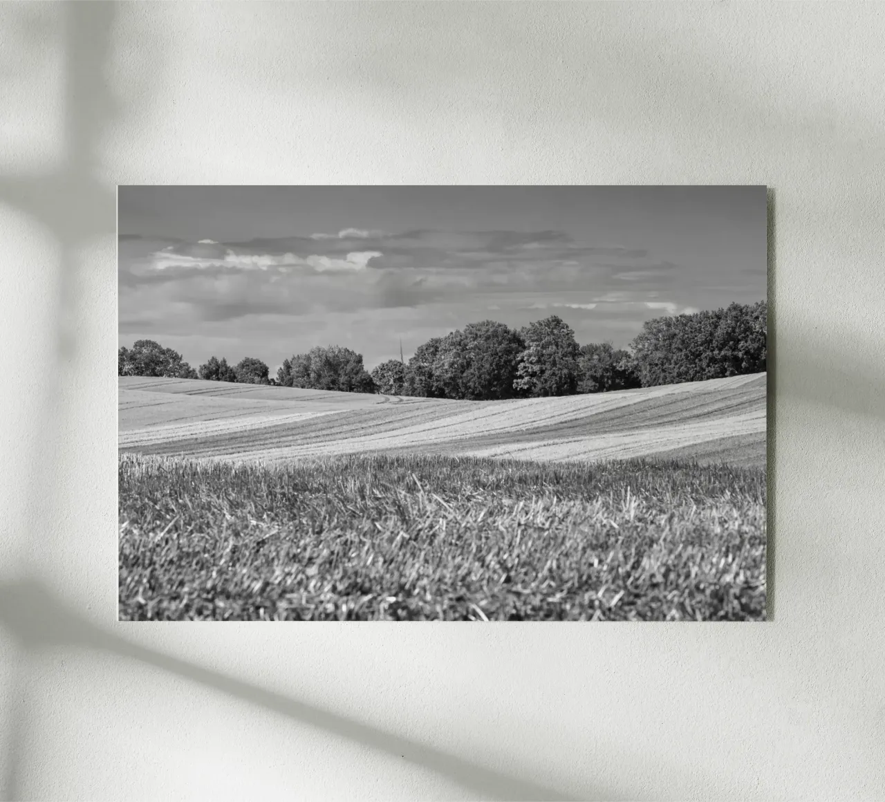 Stubble fields 3 plexiglass da Barbara Buderath Fotodesign