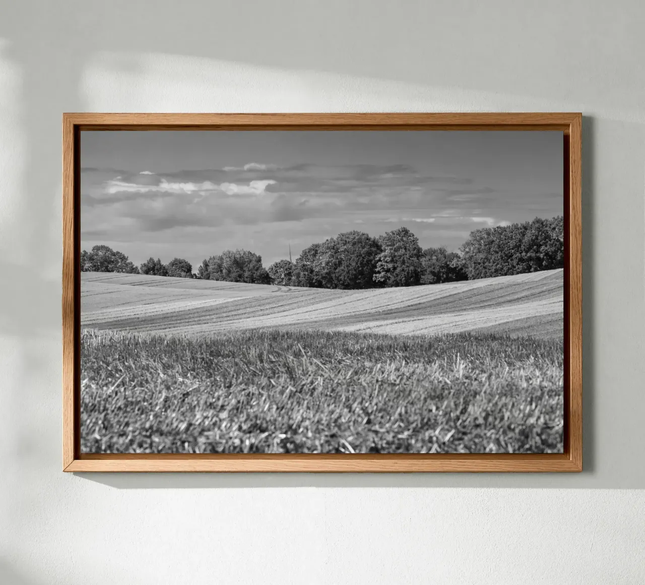 Stubble fields 3 canvas by Barbara Buderath Fotodesign
