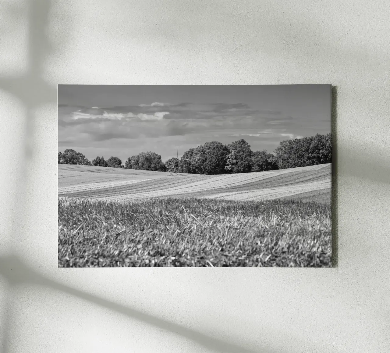 Stubble fields 3 canvas by Barbara Buderath Fotodesign