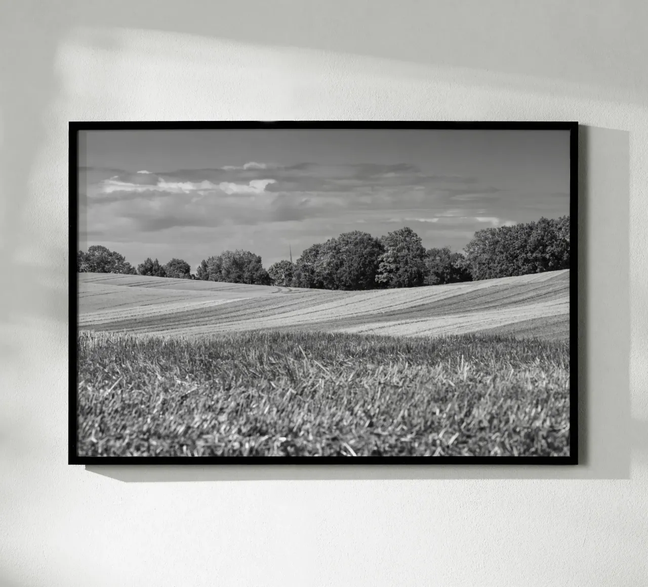 Stubble fields 3 poster by Barbara Buderath Fotodesign