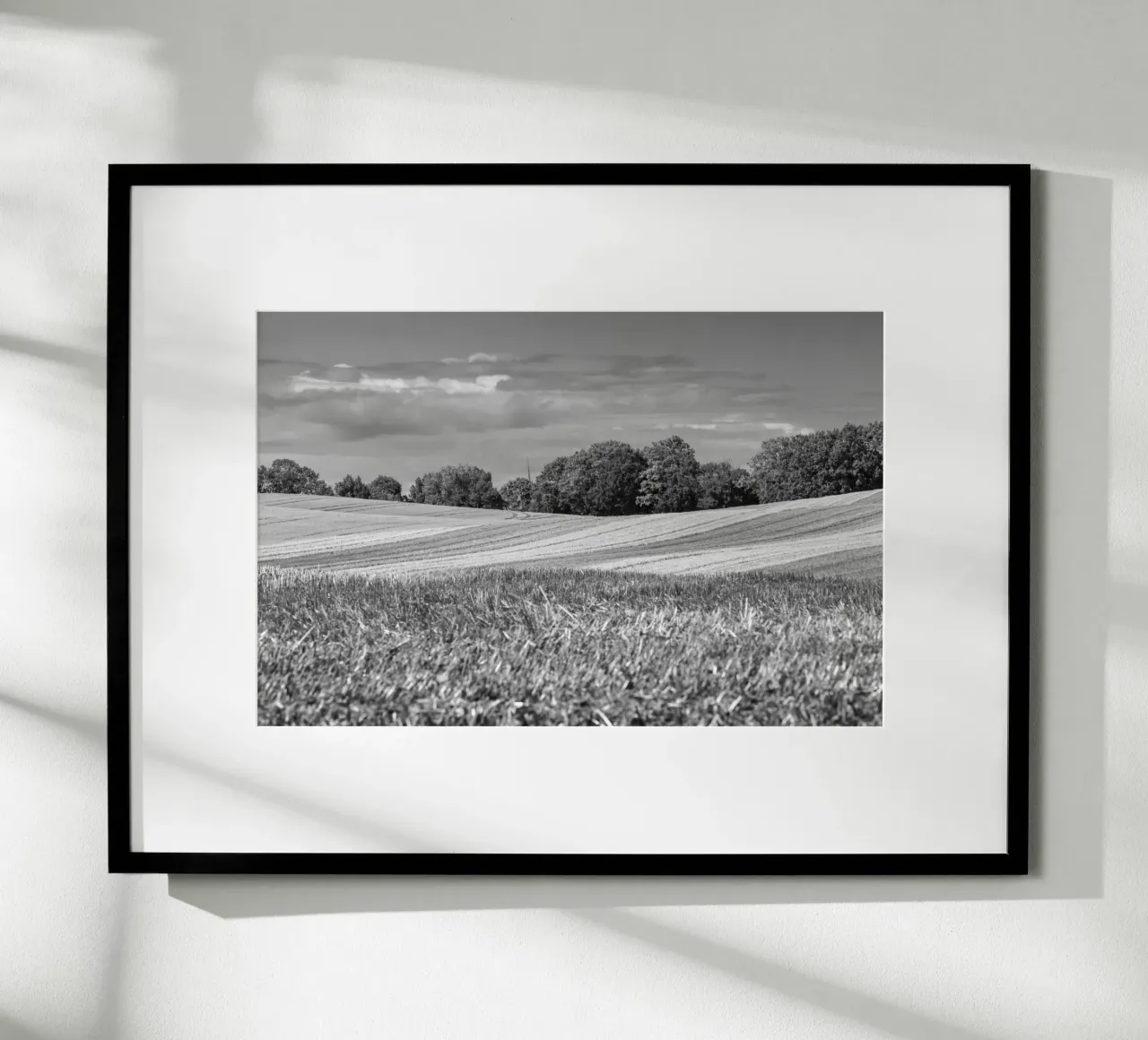 Stubble fields 3 poster by Barbara Buderath Fotodesign