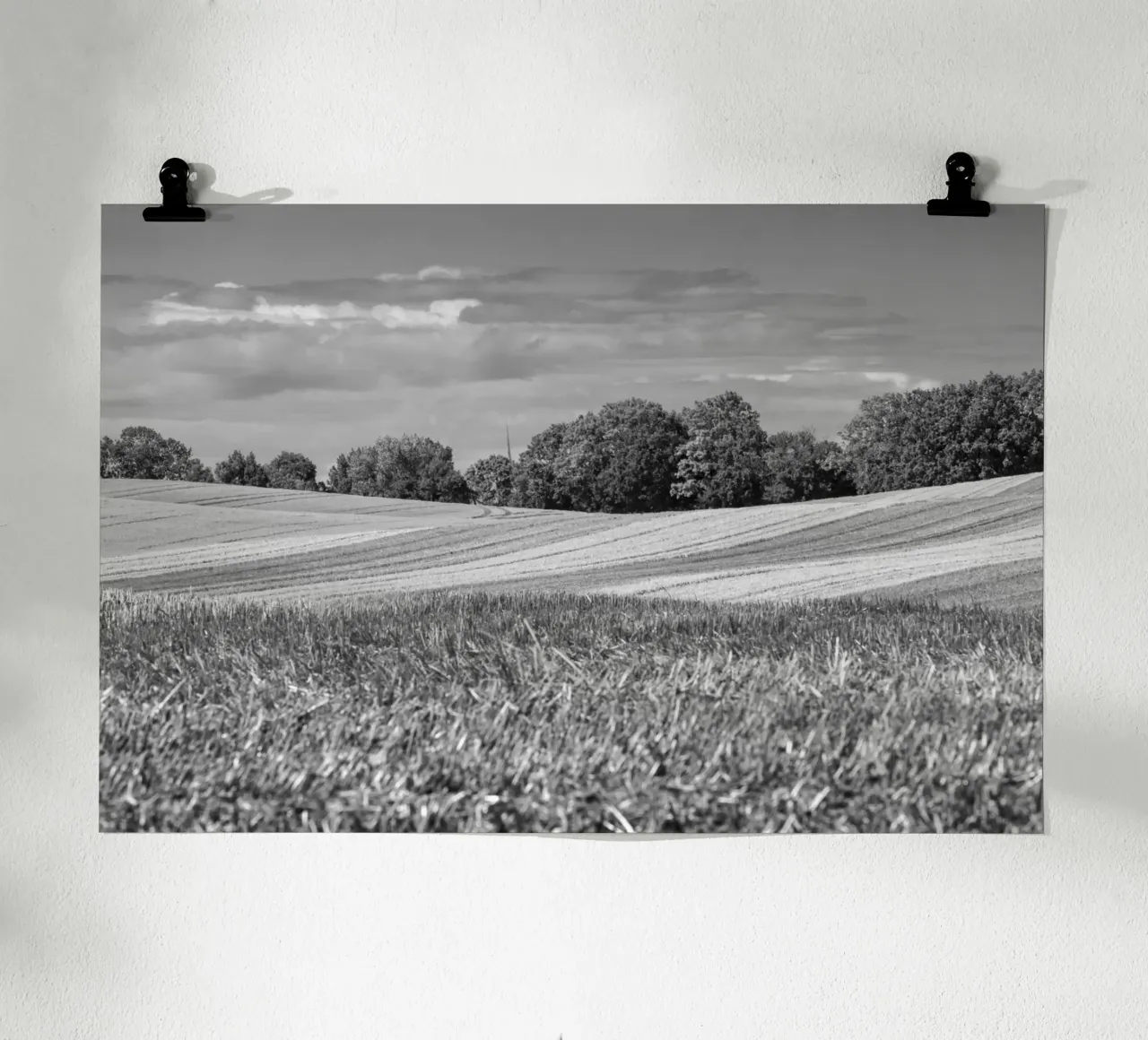 Stubble fields 3 poster by Barbara Buderath Fotodesign