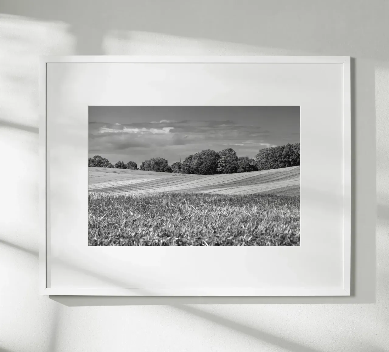 Stubble fields 3 poster by Barbara Buderath Fotodesign