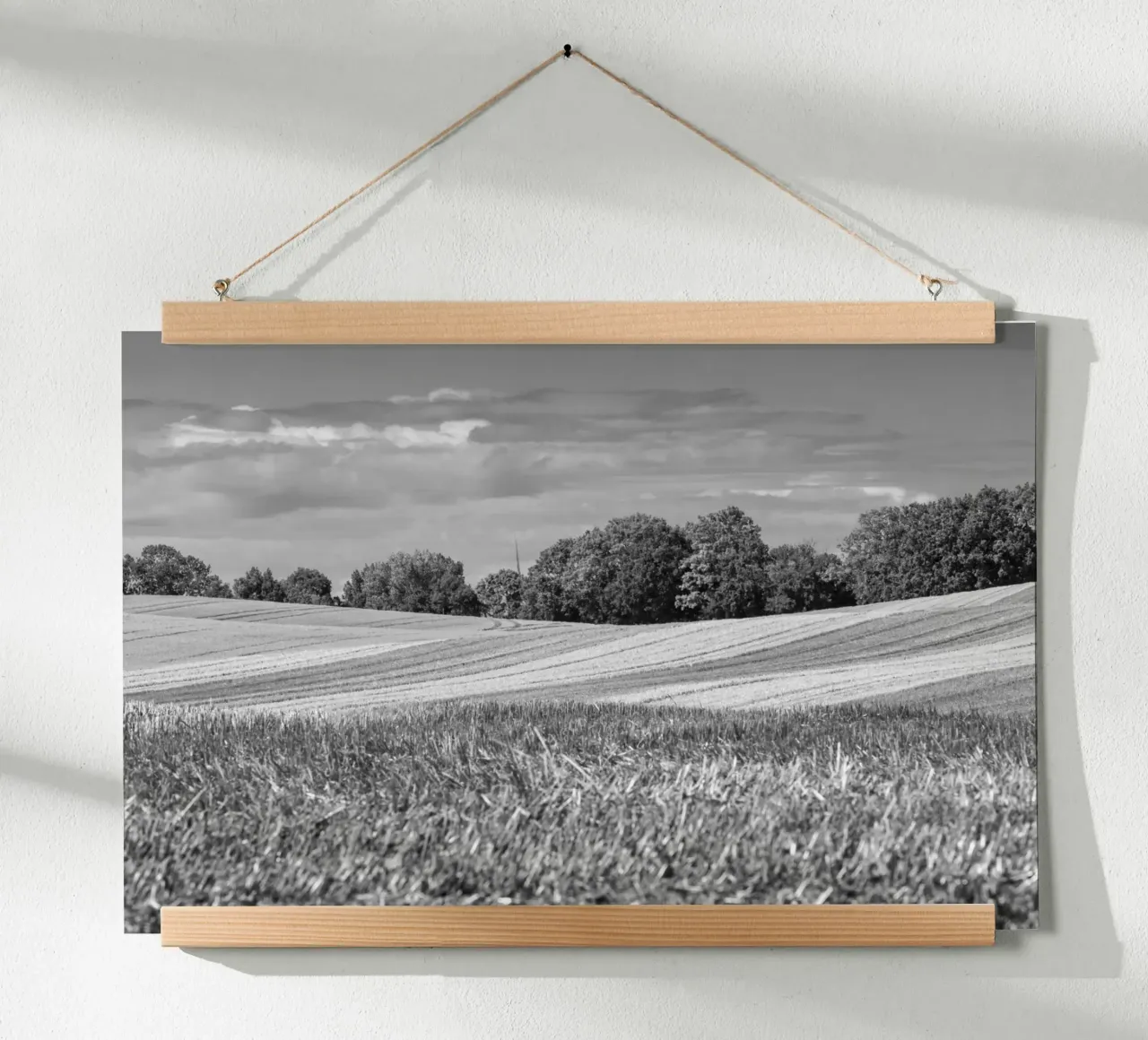 Stubble fields 3 poster by Barbara Buderath Fotodesign