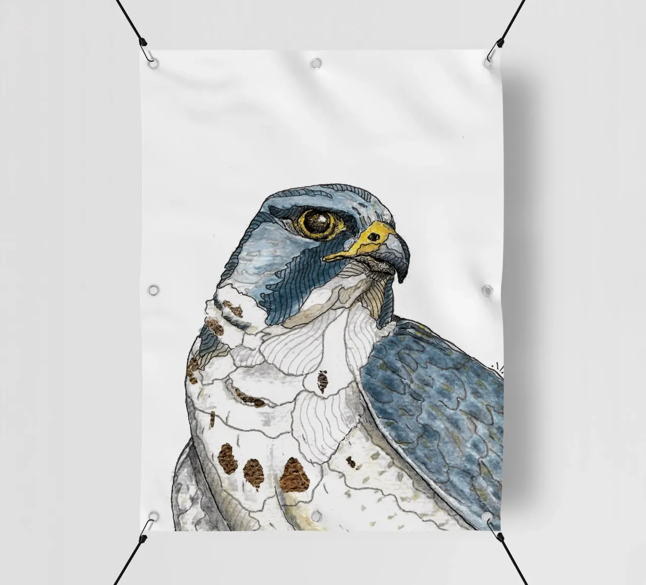 Peregrine falcon pvc cover by Magpie luck