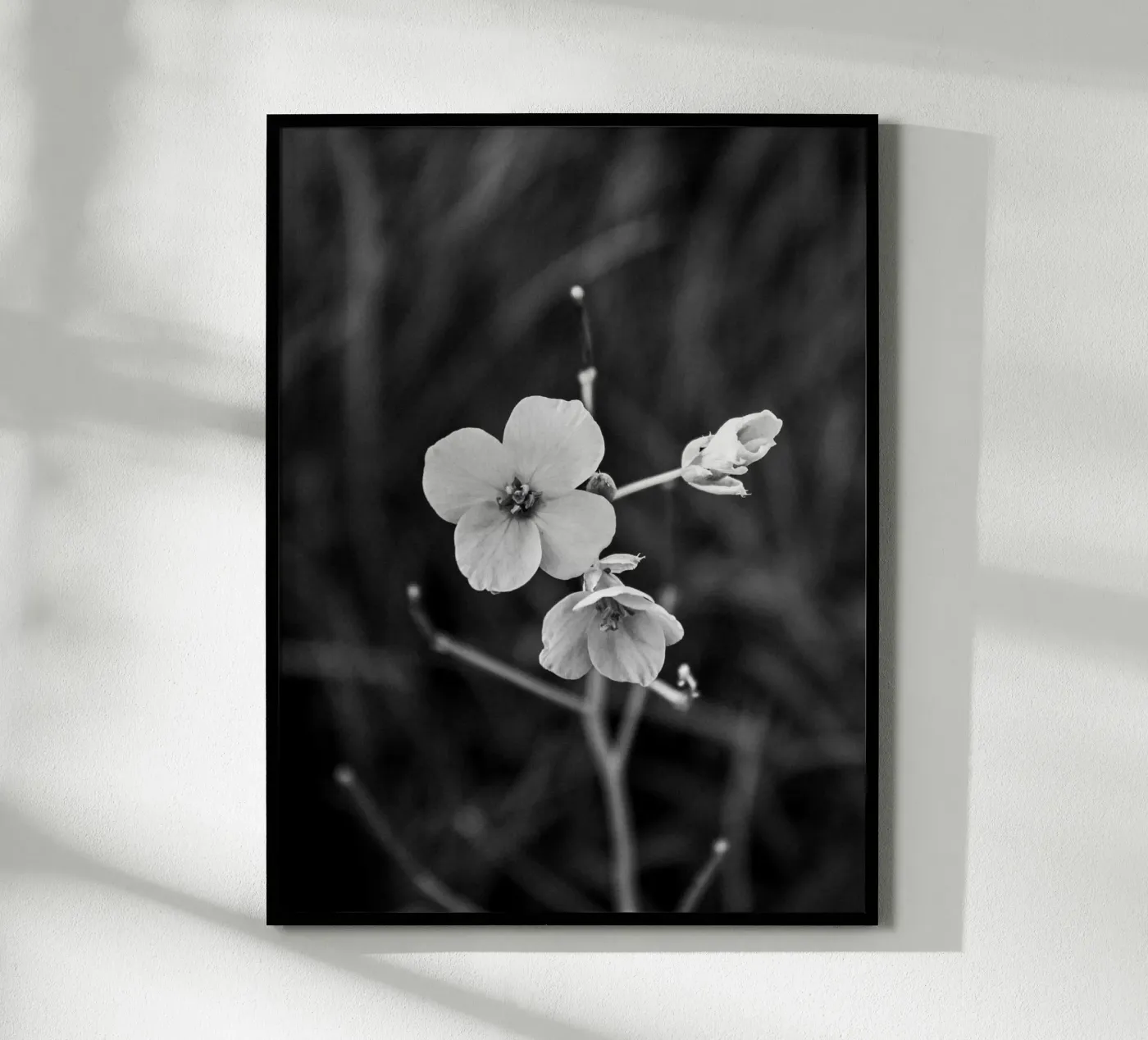 Flower Bw poster da Vale Studio