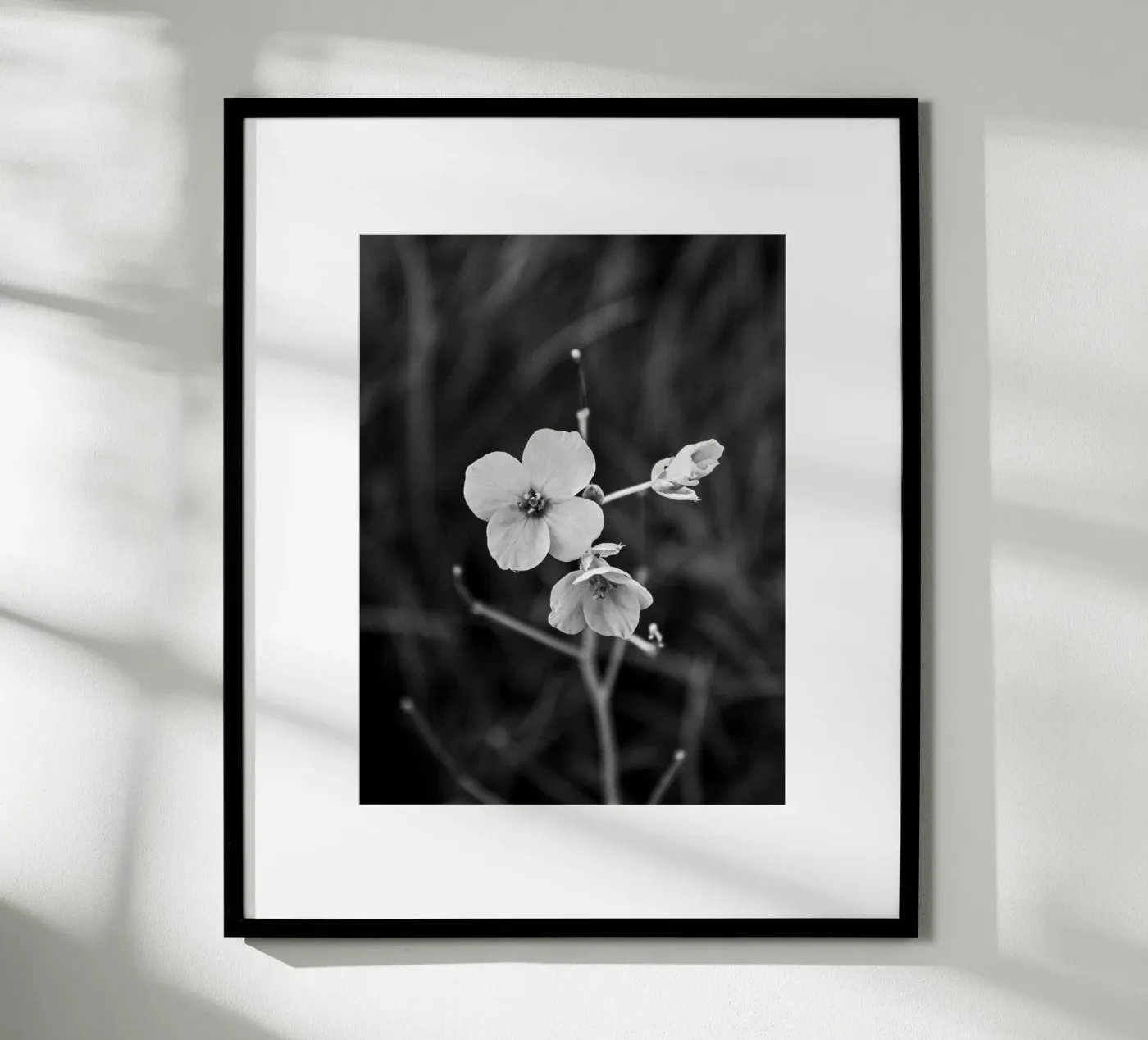 Flower Bw poster da Vale Studio