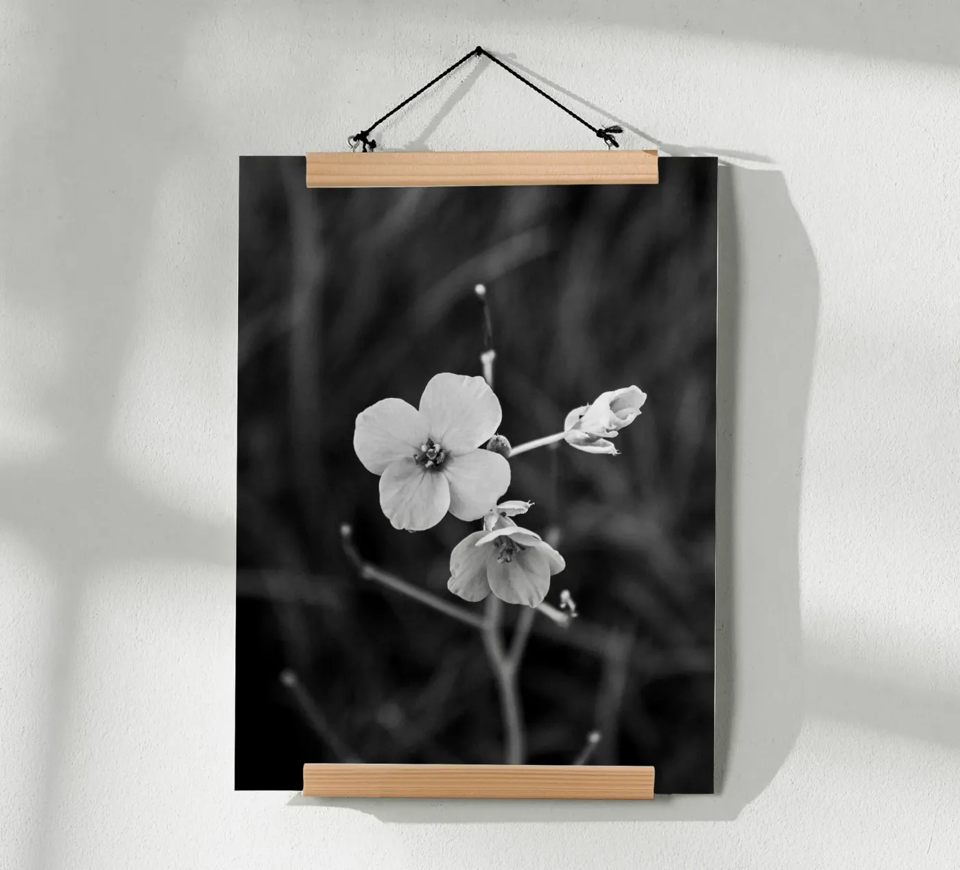 Flower Bw poster da Vale Studio