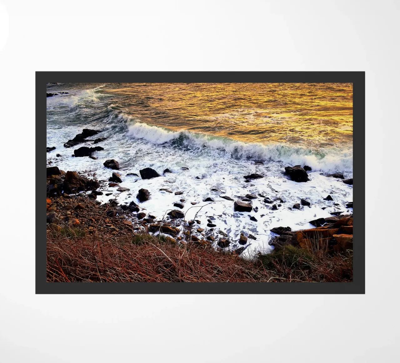 FAA100 zerbino da Thierry vobmann photography