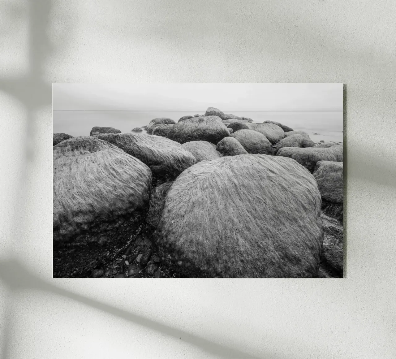 Frangiflutti plexiglass da Barbara Buderath Fotodesign