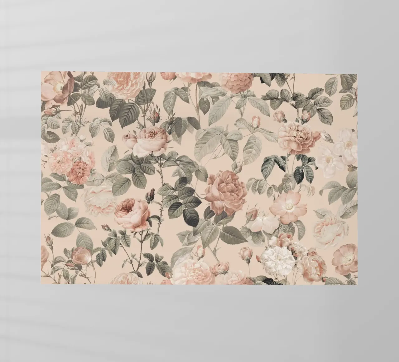 Fiori di rosa francese vintage Pierre-Joseph Redoute pellicola backlit da Andrea Haase Floral Passion
