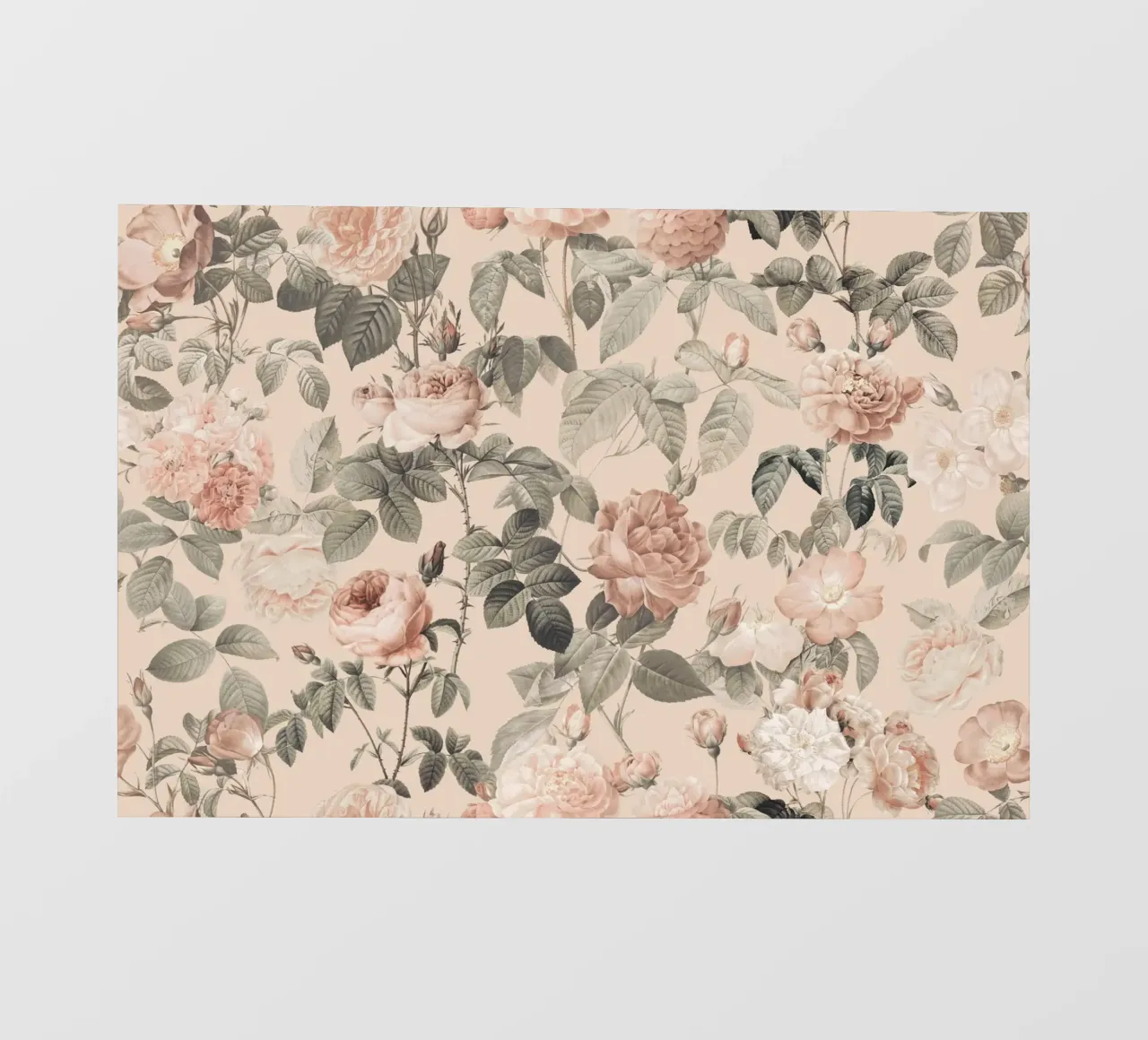 Fiori di rosa francese vintage Pierre-Joseph Redoute pellicola backlit da Andrea Haase Floral Passion