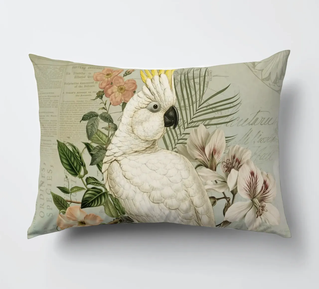 Nostalgia del cacatua d'epoca cuscino da Andrea Haase Vintage World