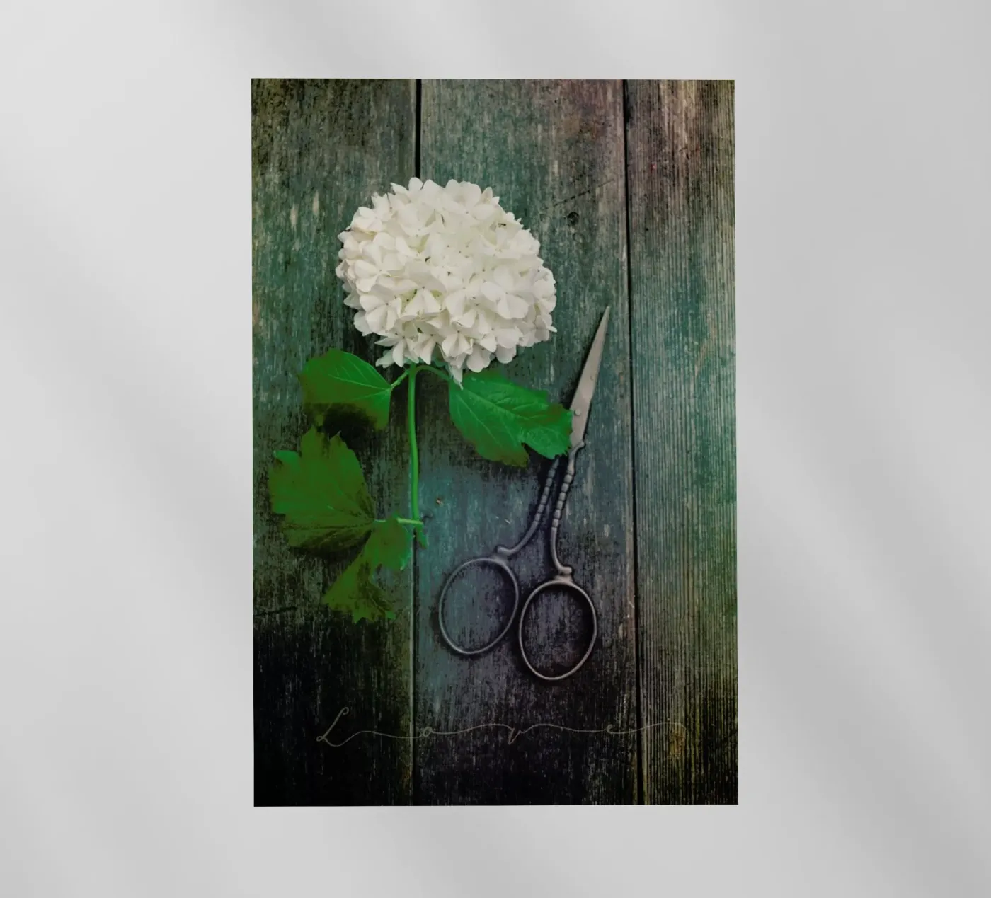 Love pellicola backlit da Robin Delean