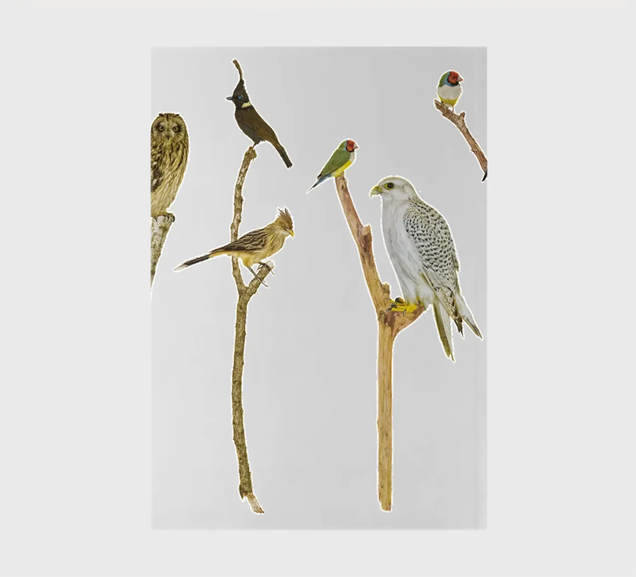 Branching Beauty: Birds on Branches diario da Curious Collections by Marielle Leenders
