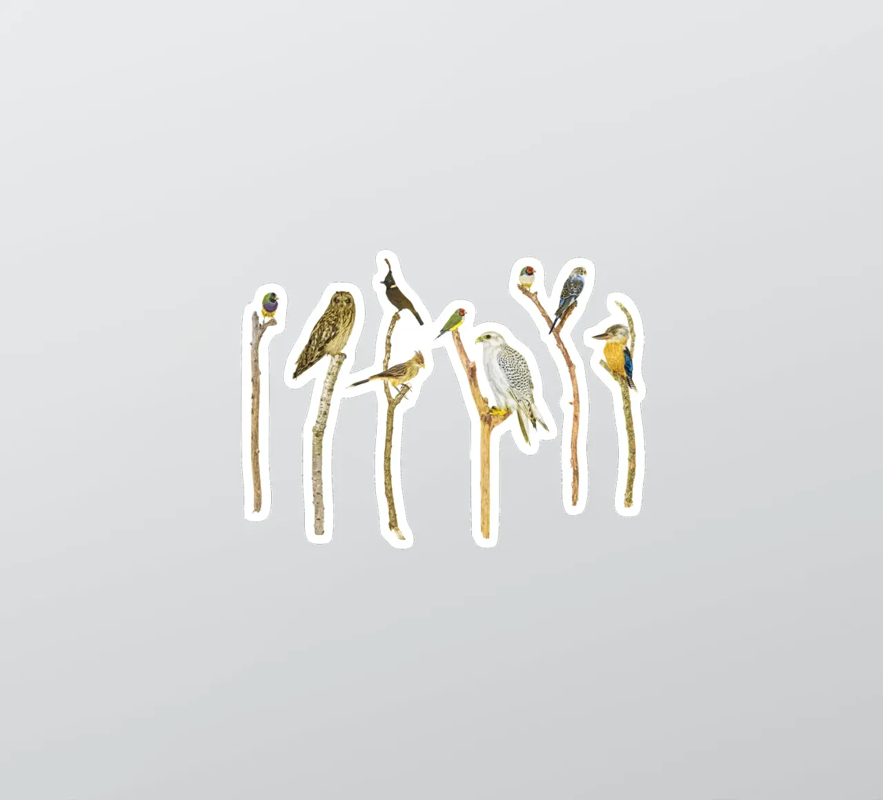 Branching Beauty: Birds on Branches Sticker von Curious Collections by Marielle Leenders