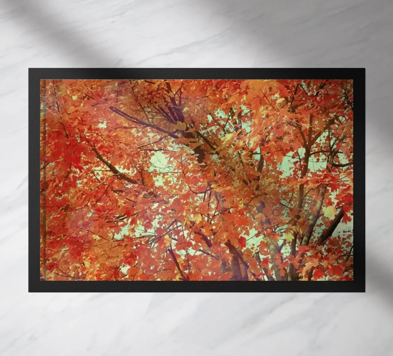 Imagine zerbino da Robin Delean