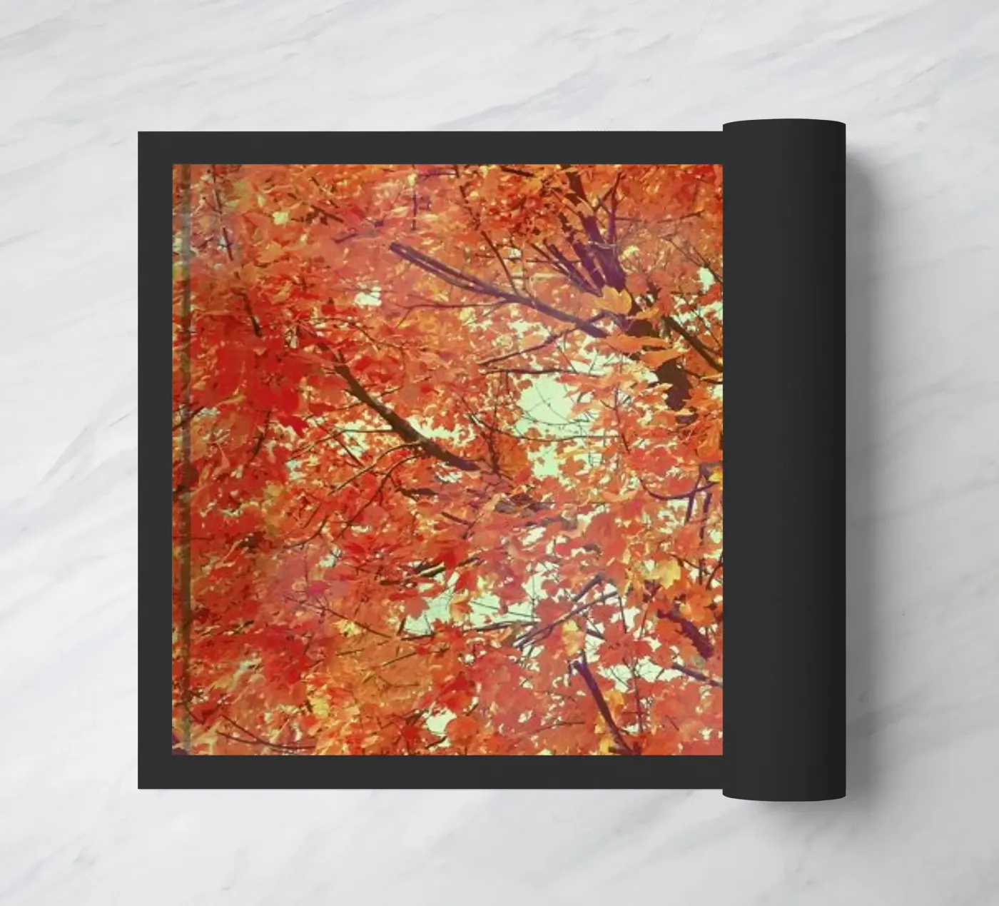 Imagine doormat by Robin Delean