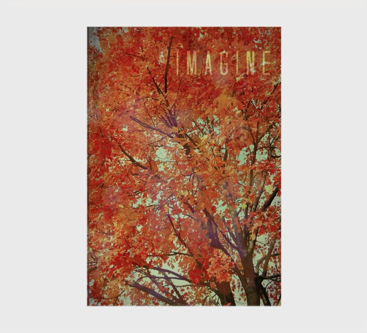 Imagine notebook by Robin Delean
