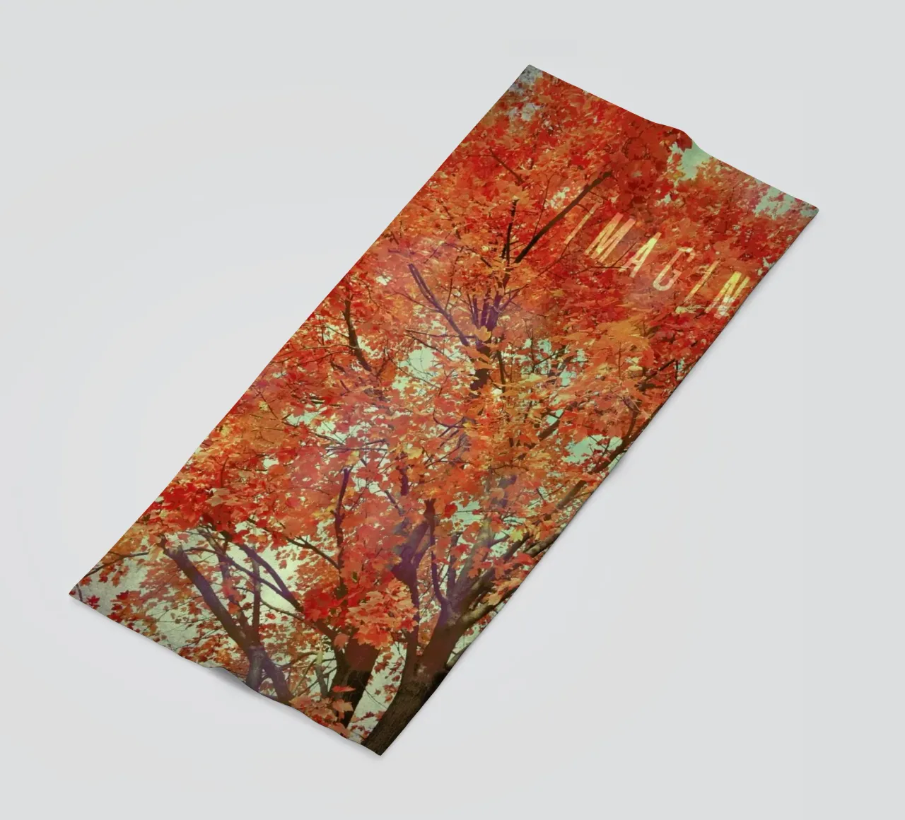 Imagine telo mare da Robin Delean