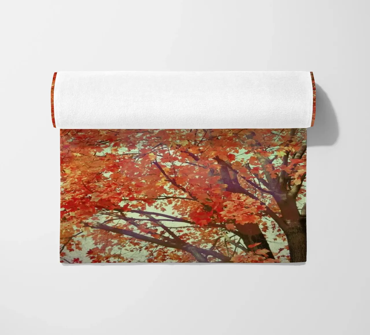 Imagine telo mare da Robin Delean