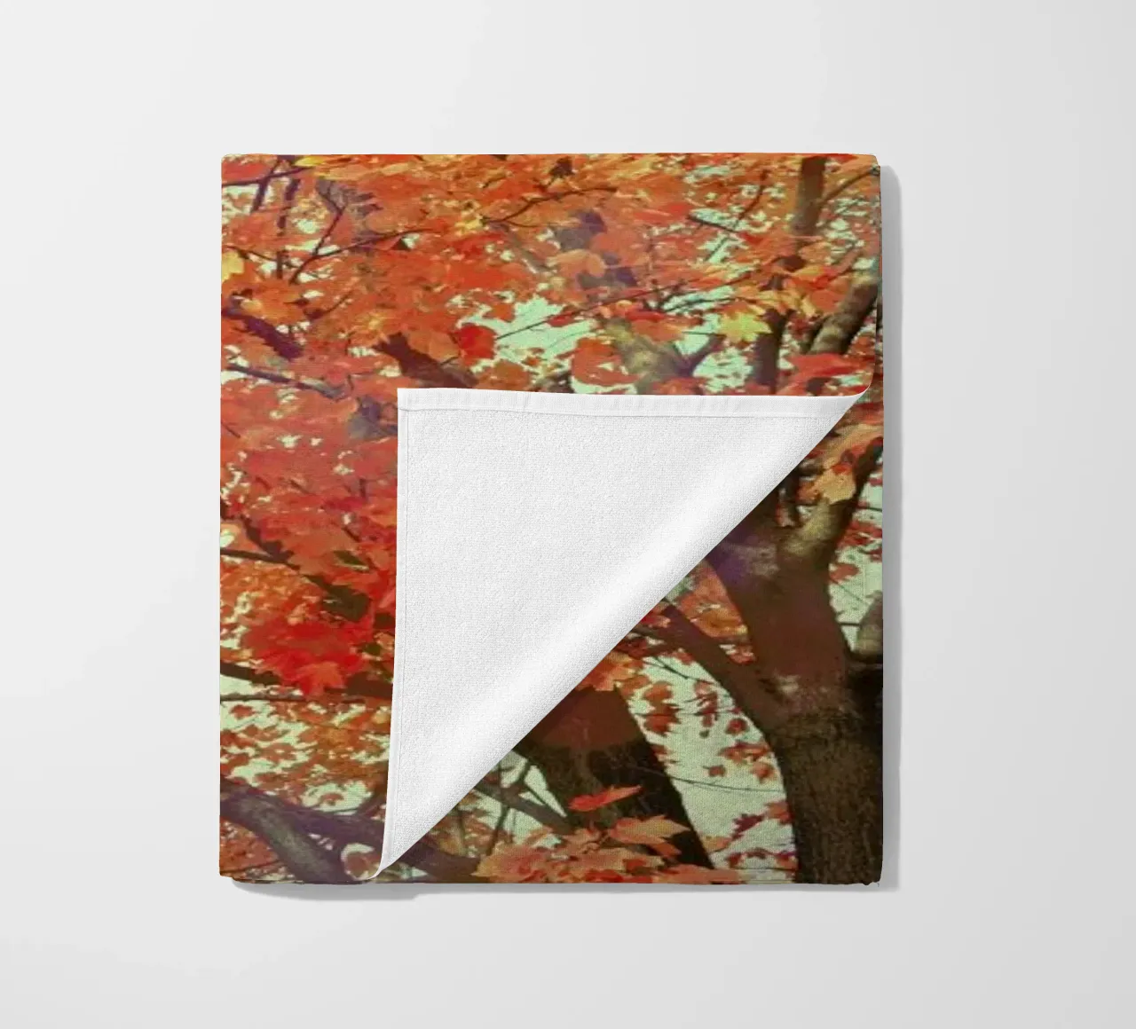 Imagine telo mare da Robin Delean