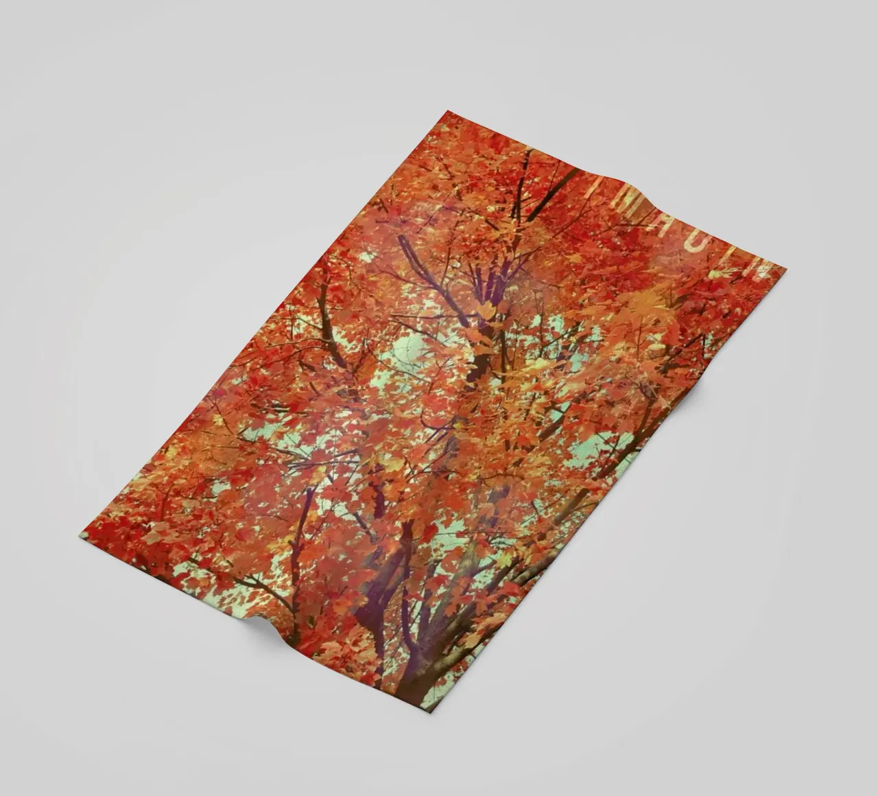 Imagine telo mare da Robin Delean