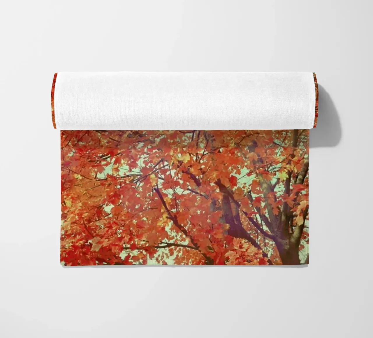 Imagine telo mare da Robin Delean