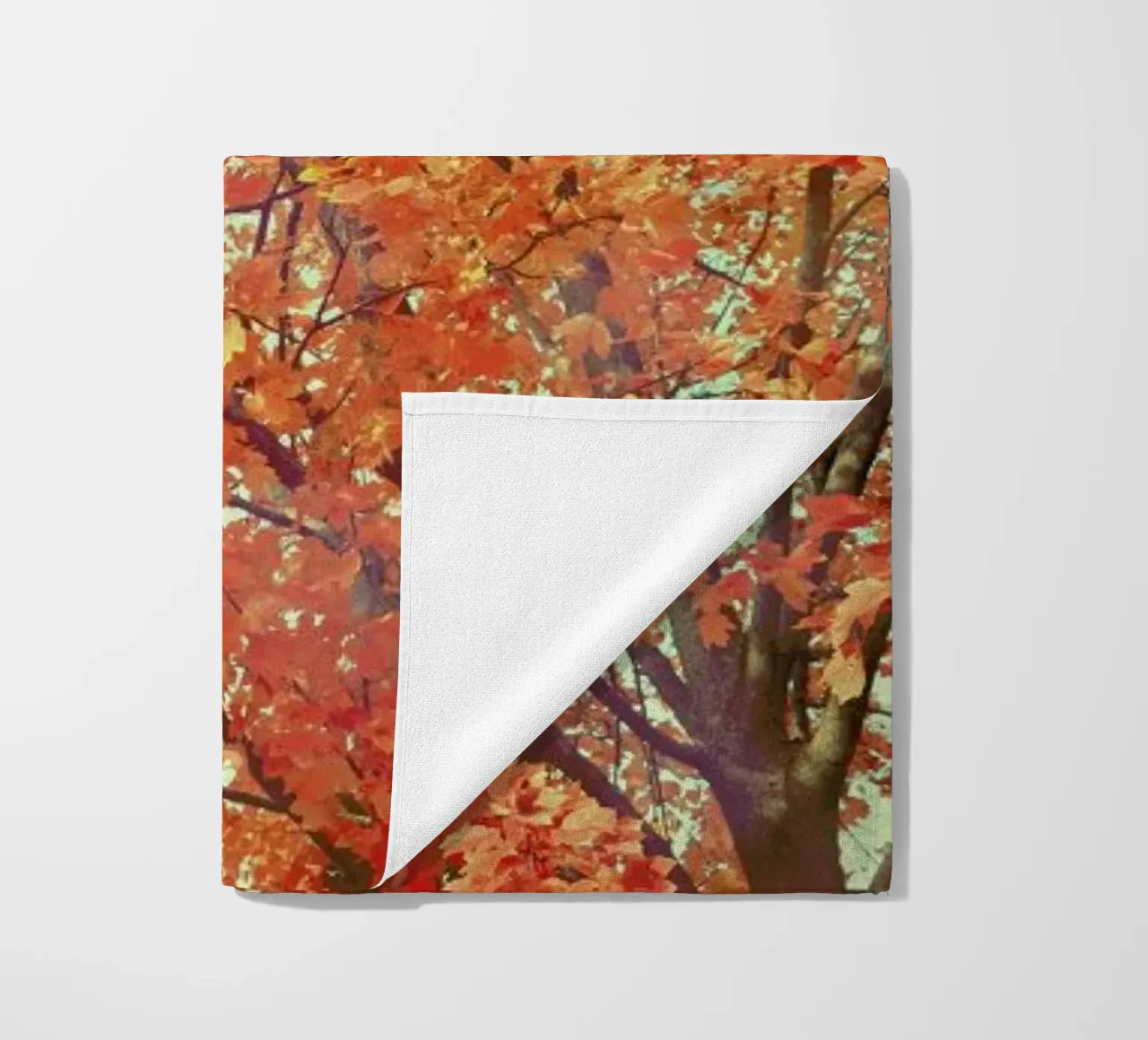 Imagine telo mare da Robin Delean