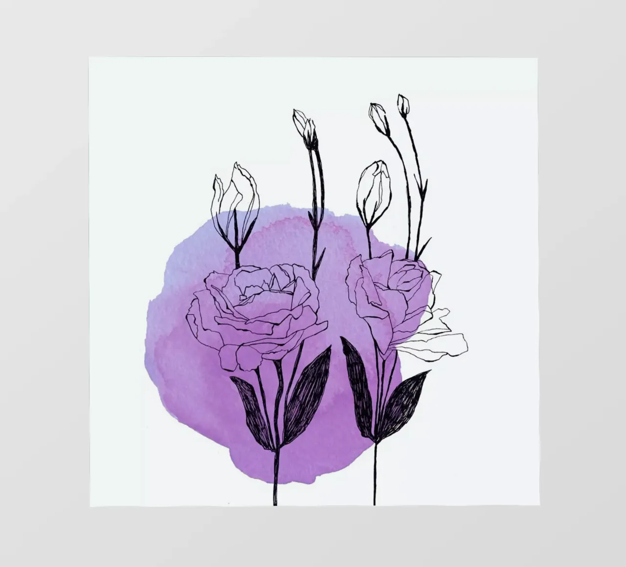 Lisianthus pellicola backlit da Morgan Kendall