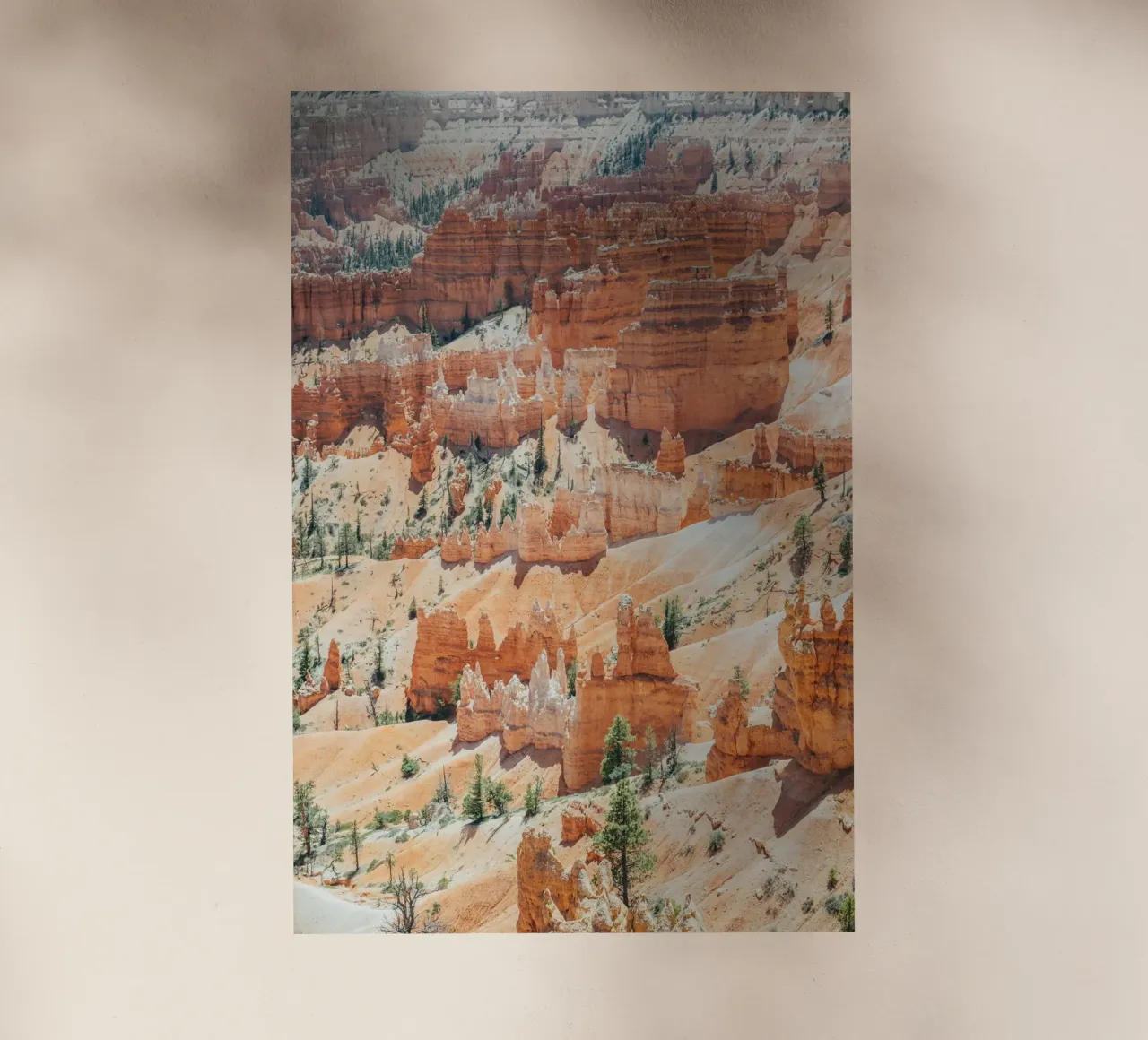 Bryce Canyon pellicola backlit da patiphotography