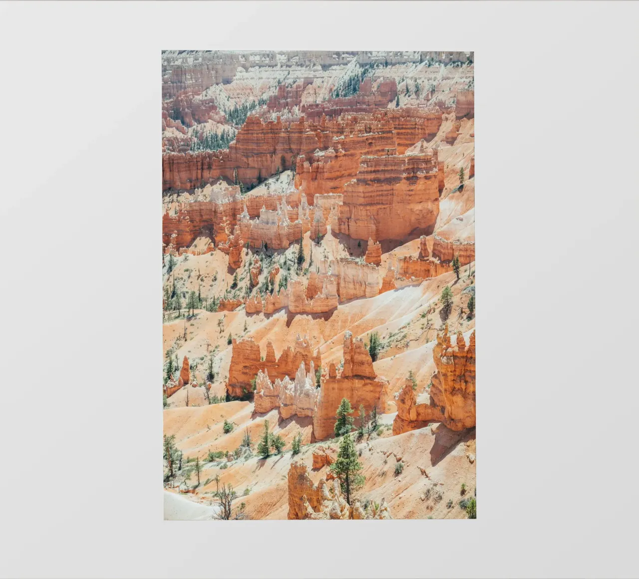 Bryce Canyon pellicola backlit da patiphotography