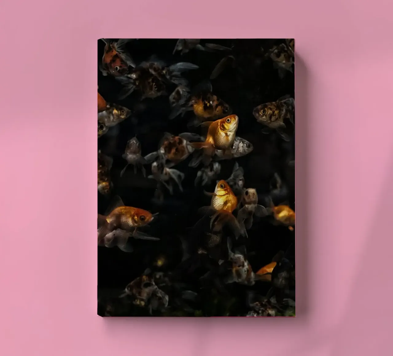 Grace in Motion: Goldfish notebook by Curious Collections by Marielle Leenders