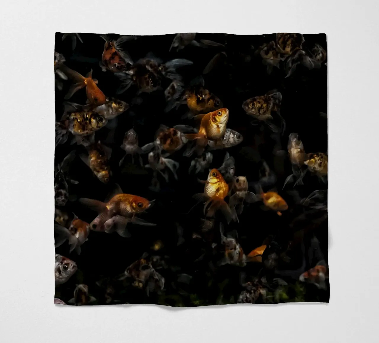 Grace in Motion: Goldfish coperta in pile da Curious Collections by Marielle Leenders