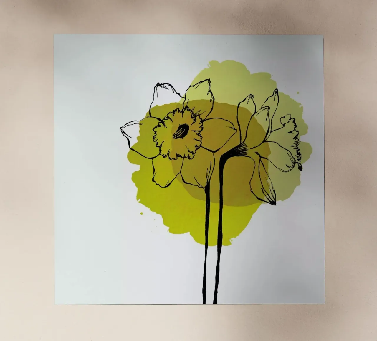 Yellow Daffodils pellicola backlit da Morgan Kendall