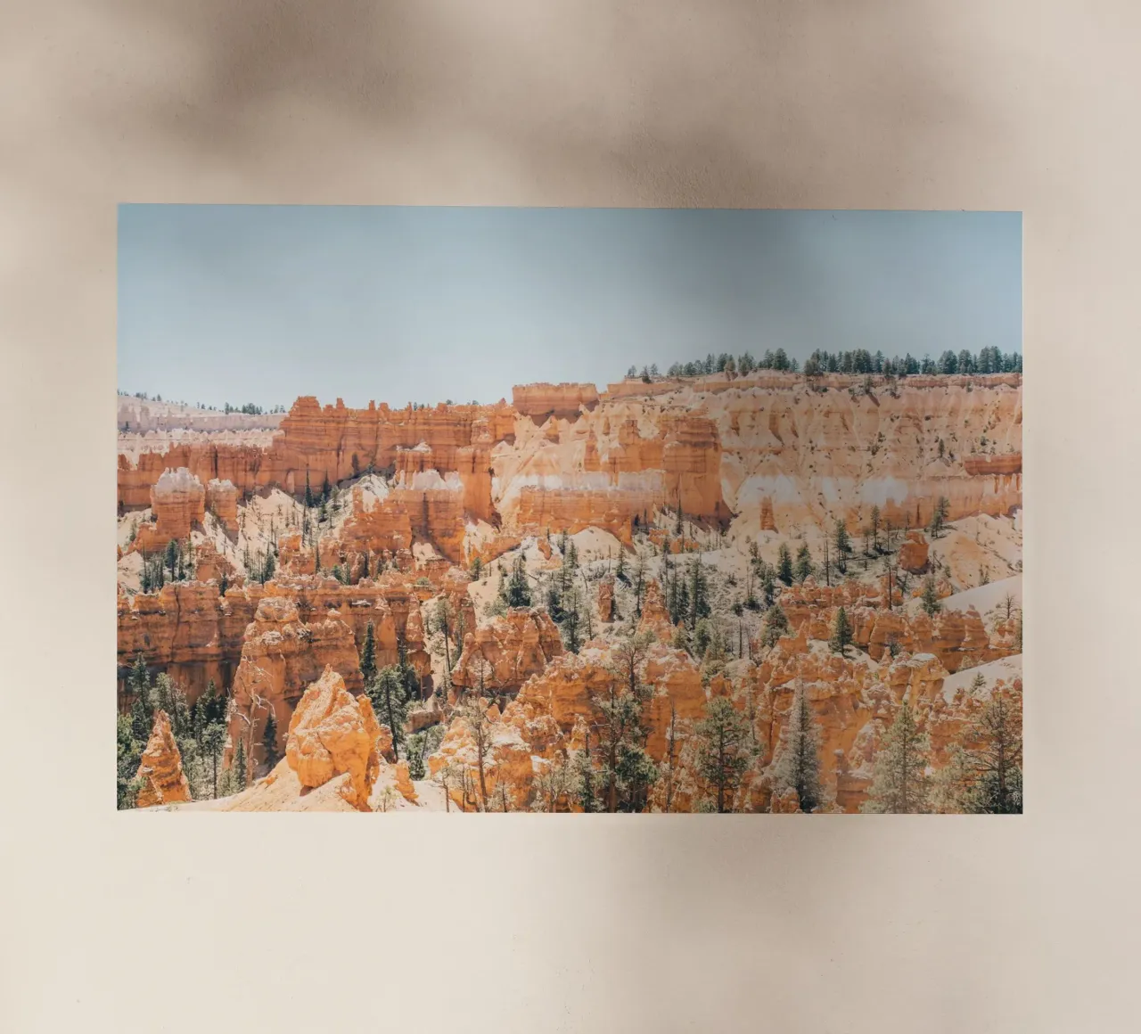 Bryce Canyon National Park pellicola backlit da patiphotography