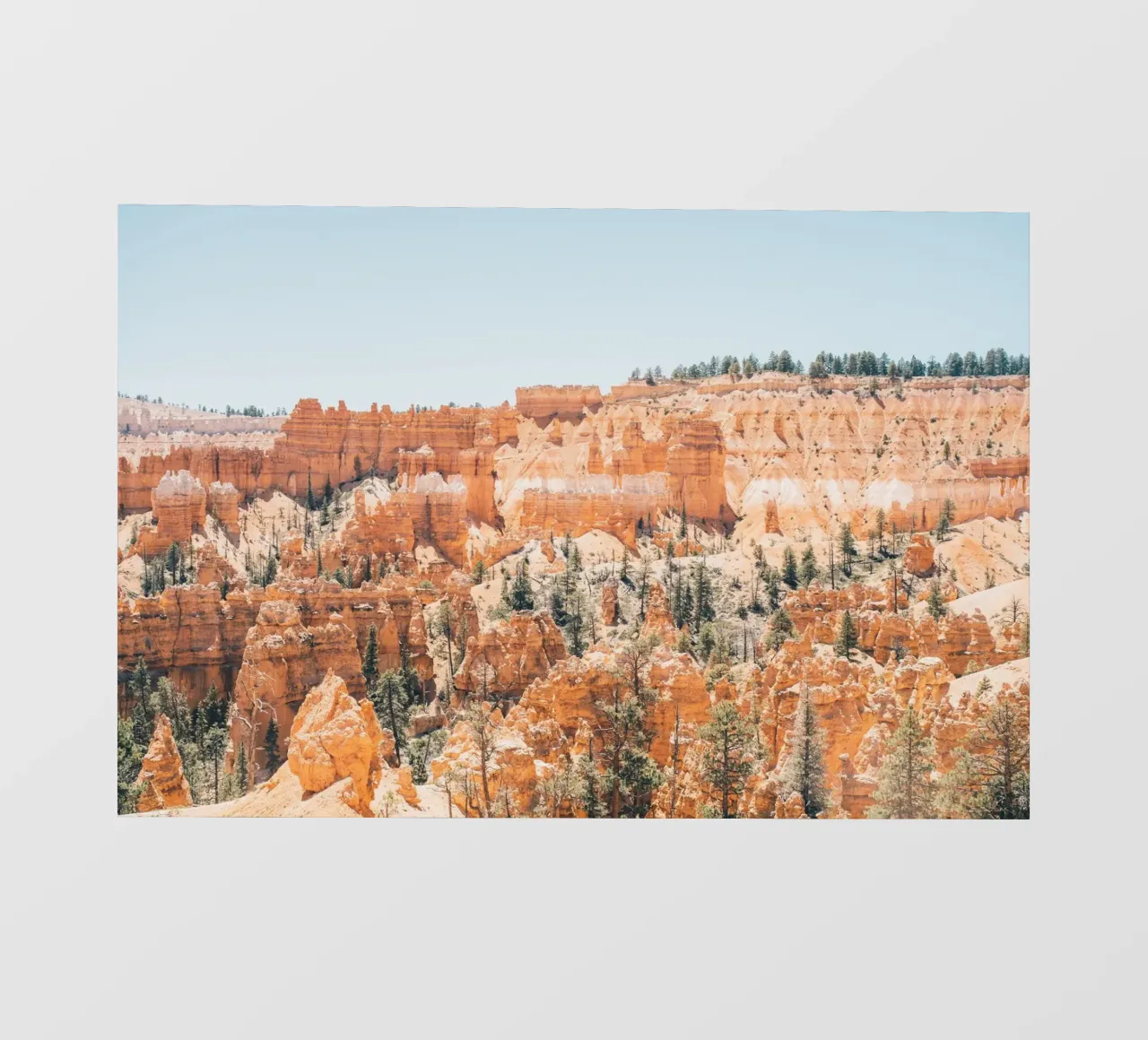 Bryce Canyon National Park pellicola backlit da patiphotography