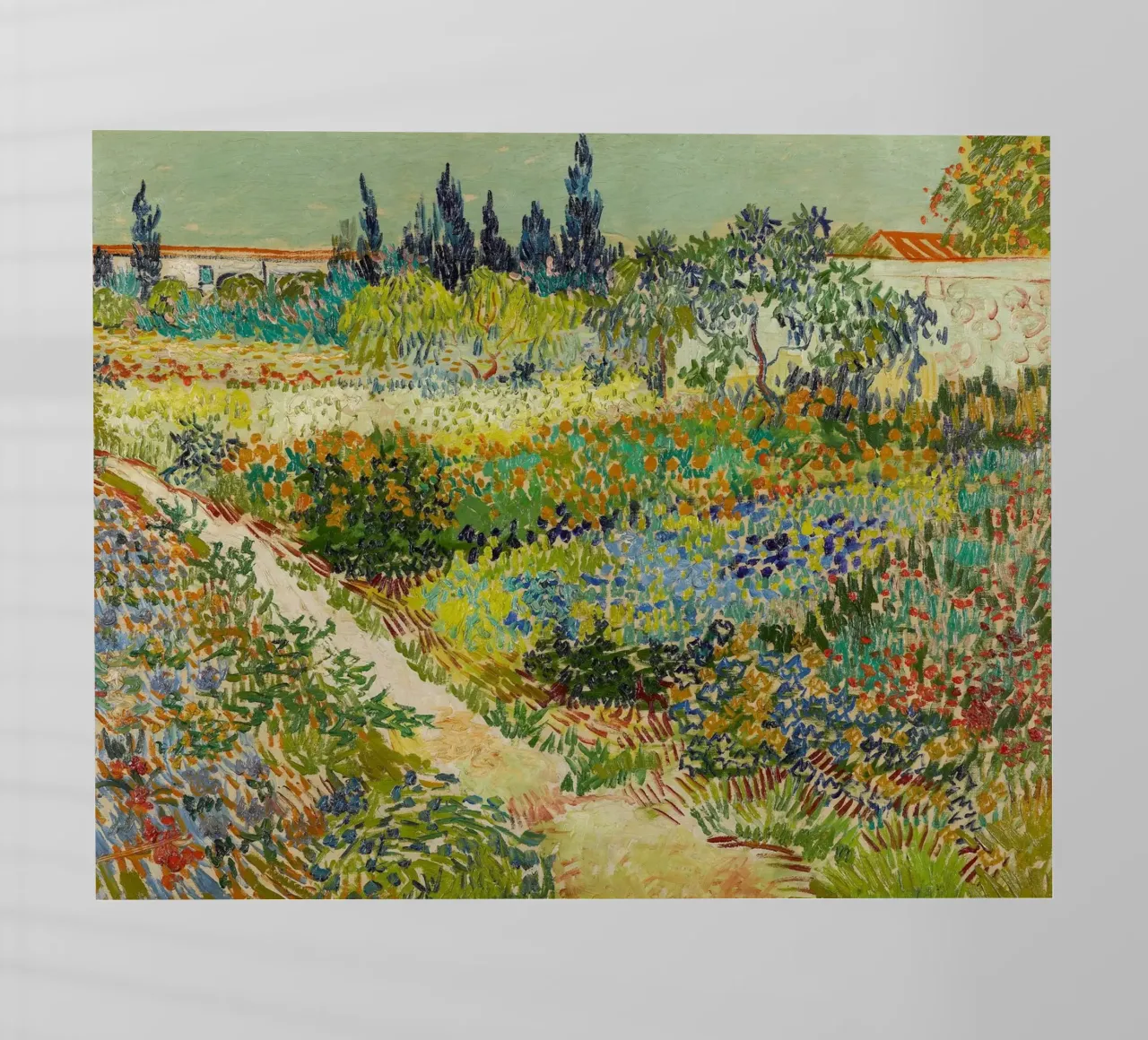 Giardino Van Gogh ad Arles pellicola backlit da Carinaprint