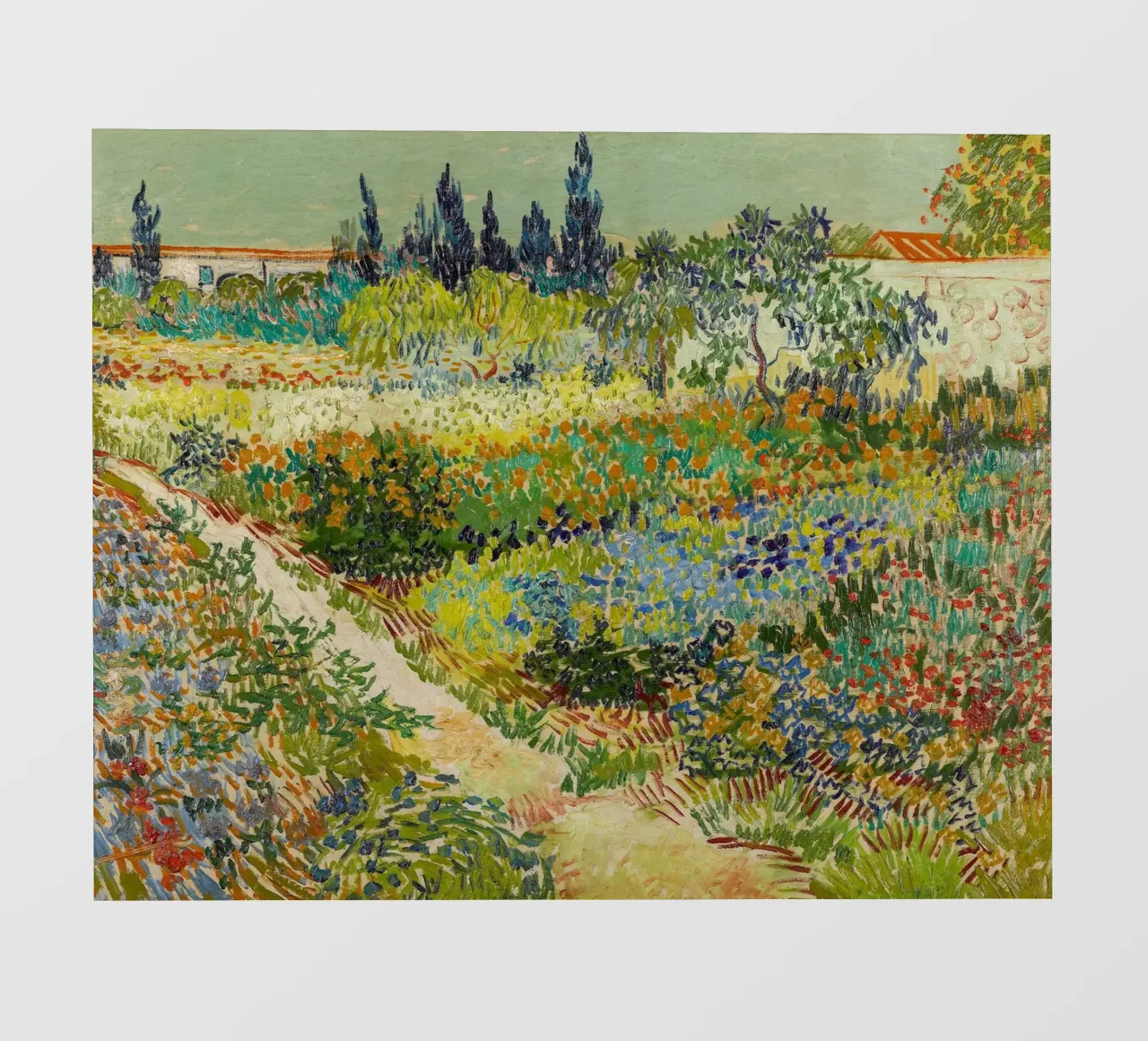 Giardino Van Gogh ad Arles pellicola backlit da Carinaprint