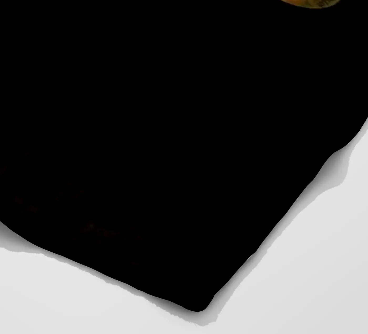 Solar system fleece blanket by Terry Fan