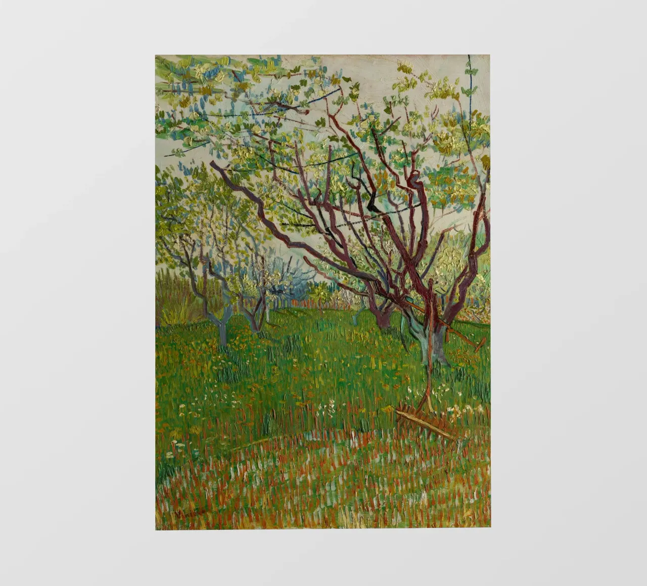 van Gogh blossoming orchard photo wallpaper by Carinaprint