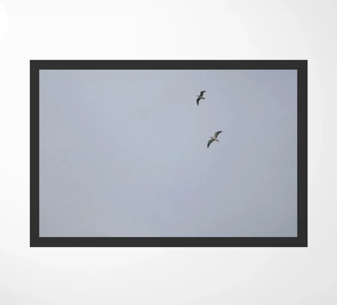 Seagulls deurmat van Wild Horizon Studio