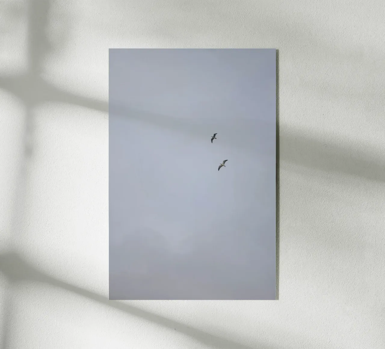 Seagulls plexiglas de The Wild Creative Studio