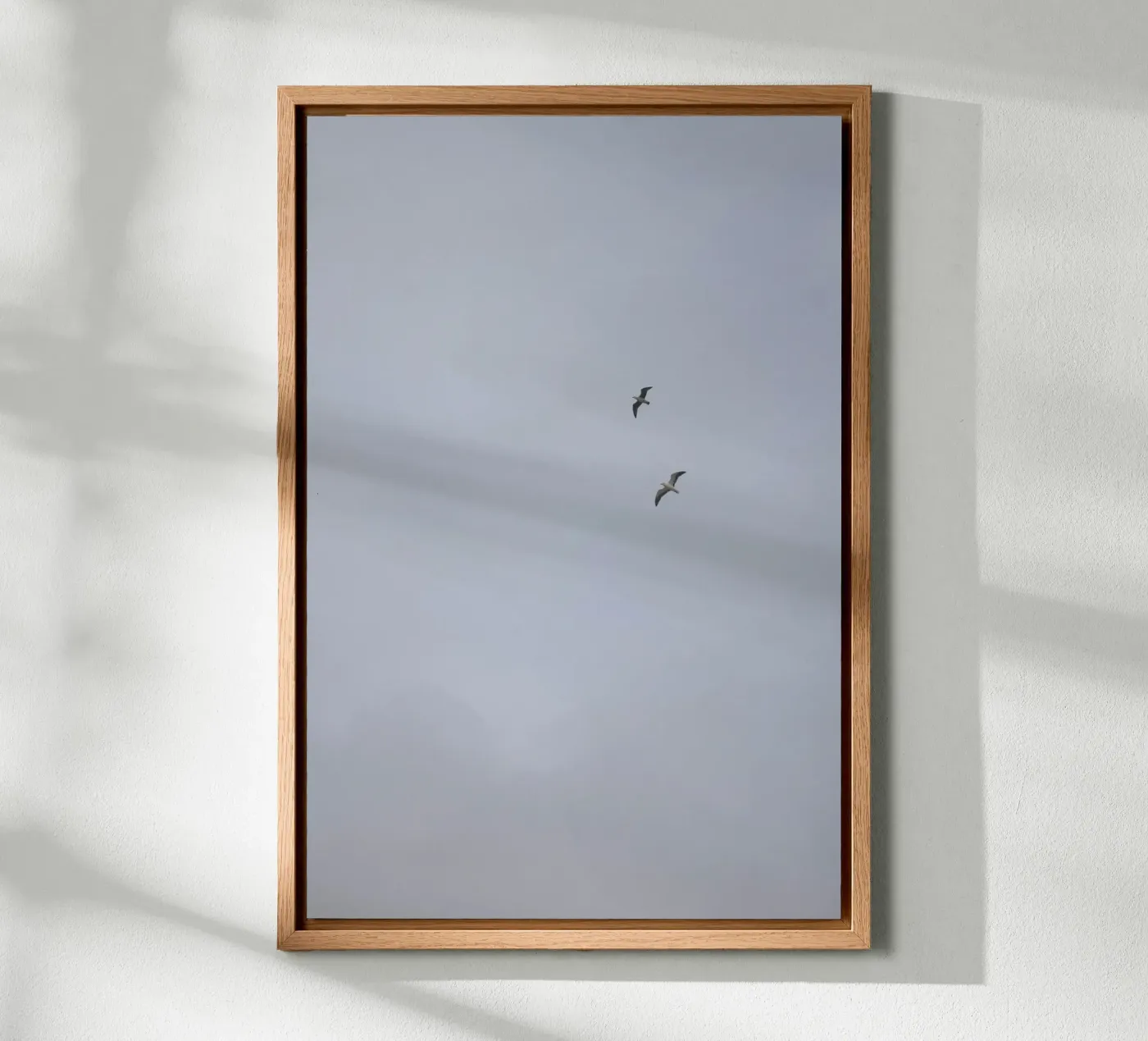 Seagulls forex plate by Wild Coast Studio