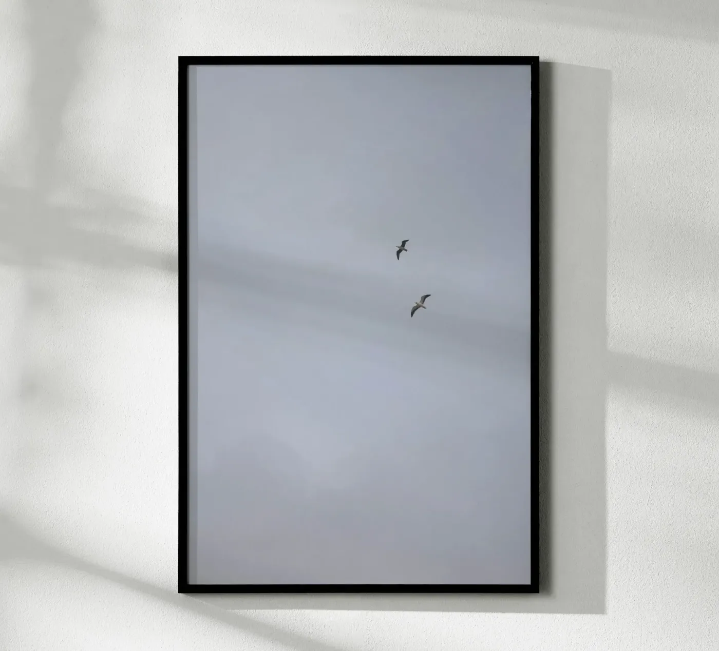 Seagulls poster da Wild Coast Studio